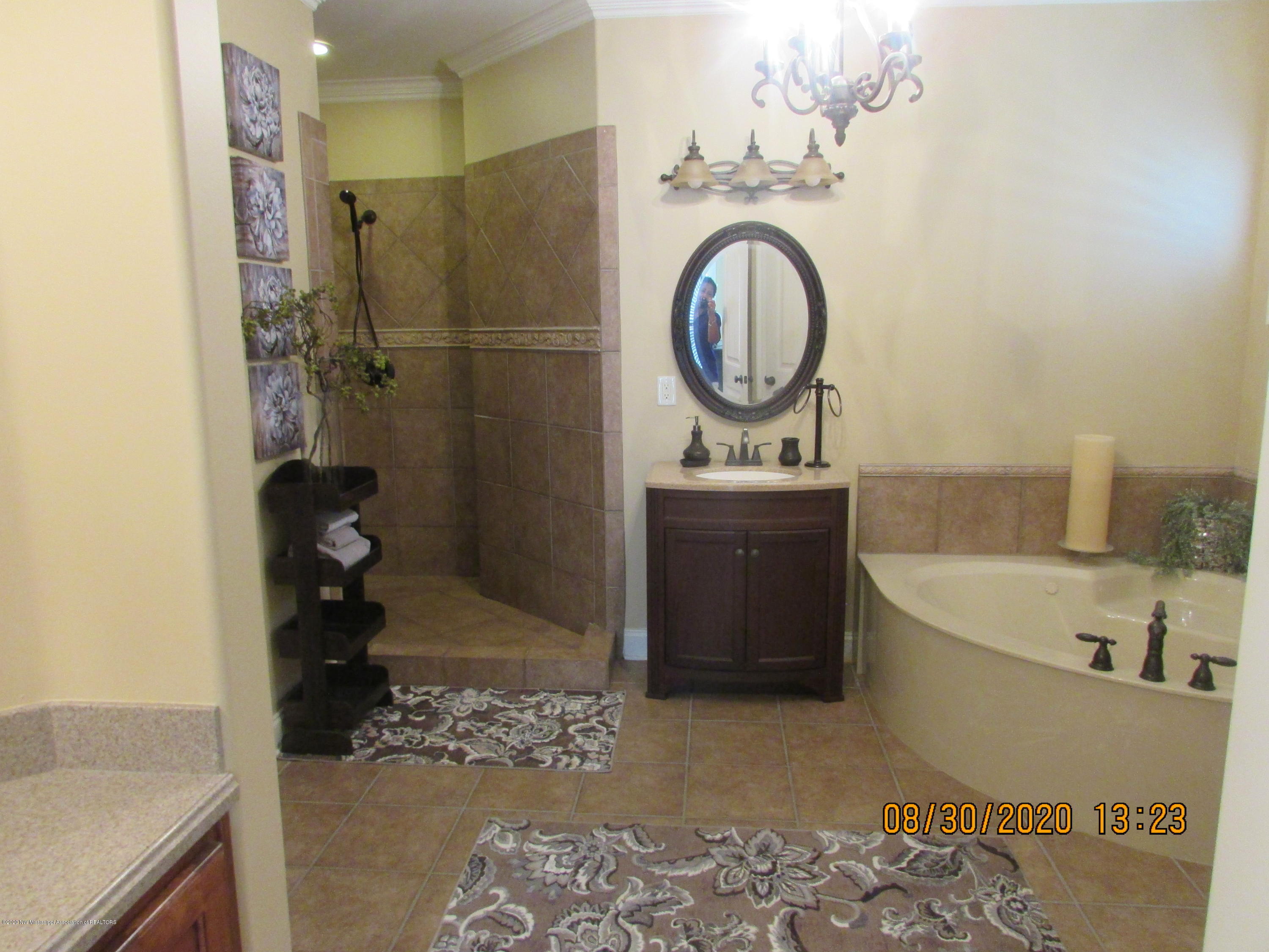 9077 Rue Orleans Lane Olive Branch, MS 38654 - Photo 38 of 50 Master Bath Down (4)