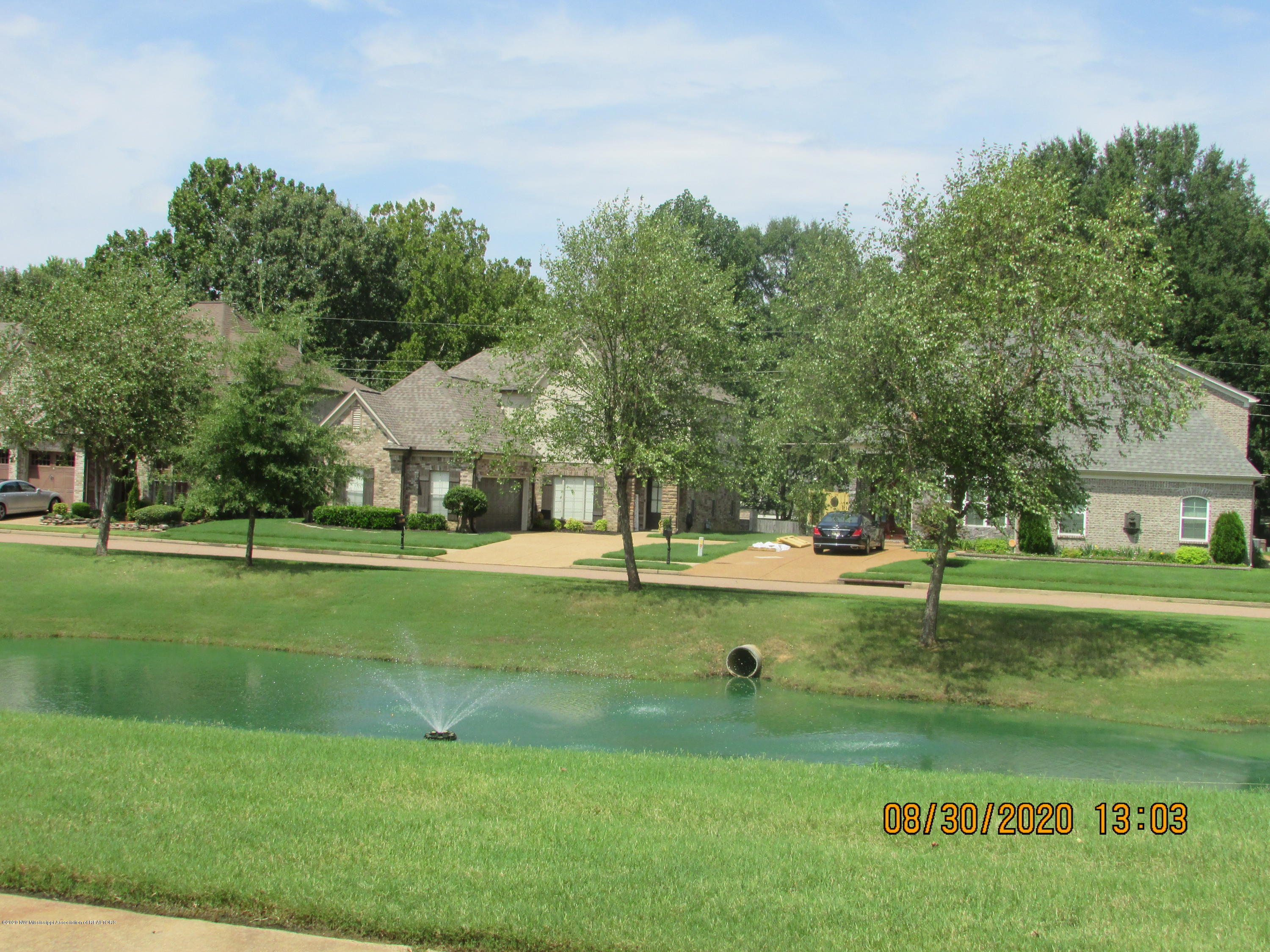 9077 Rue Orleans Lane Olive Branch, MS 38654 - Photo 8 of 50 Neighborhood Lake (3)
