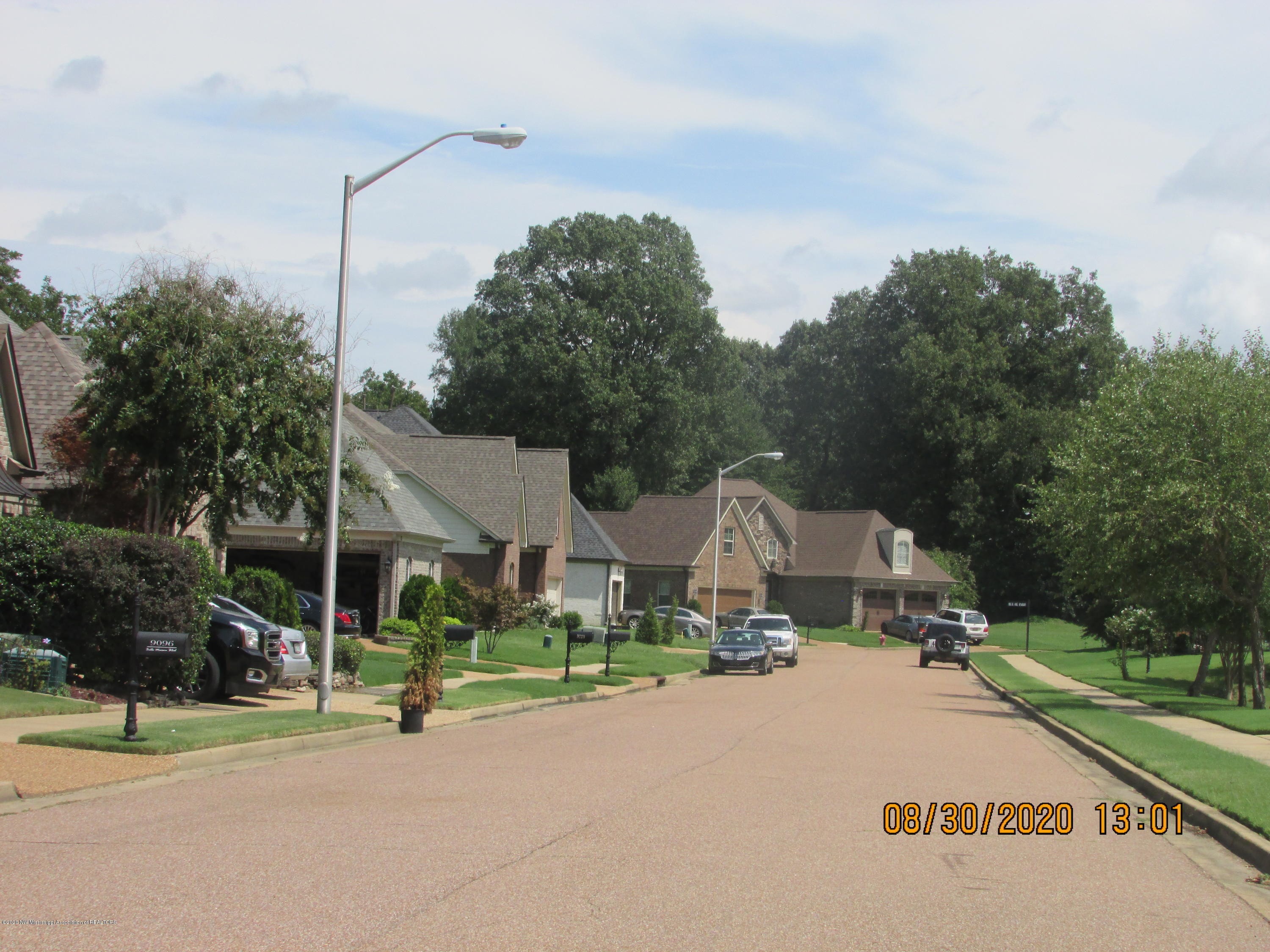 9077 Rue Orleans Lane Olive Branch, MS 38654 - Photo 9 of 50 Street Scene (1)