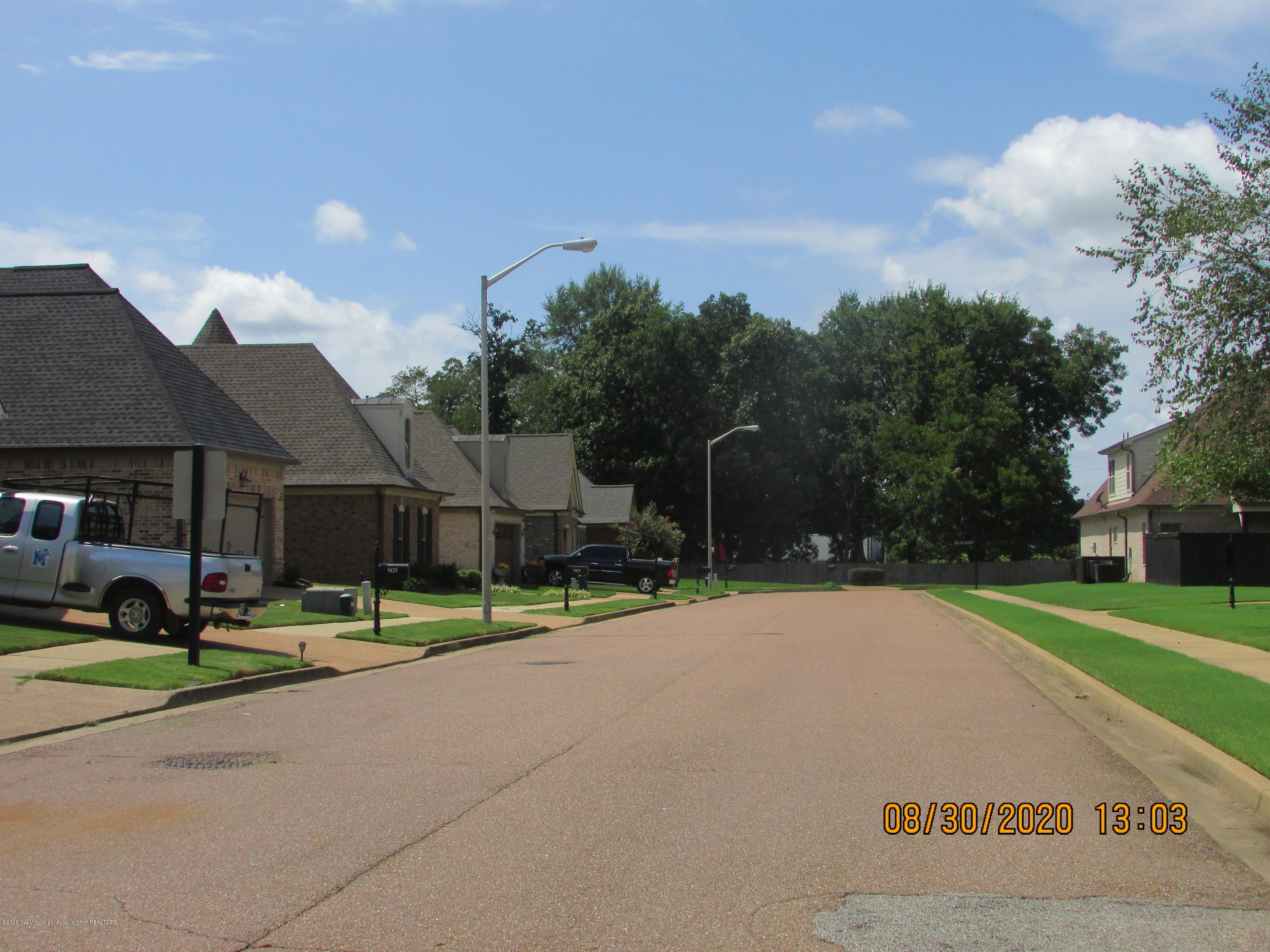9077 Rue Orleans Lane Olive Branch, MS 38654 - Photo 10 of 50 Street Scene (2)