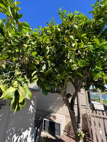 $119,000 | 81620 Ave 49, Unit 98A, Indio, CA 92201