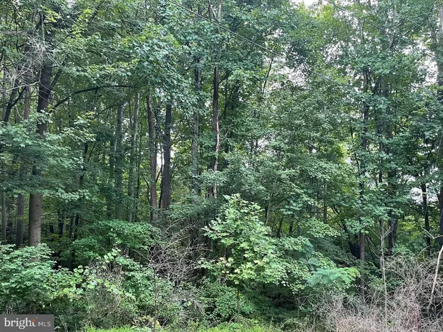 $17,400 | Harmony Lane, Stanley, VA 22851