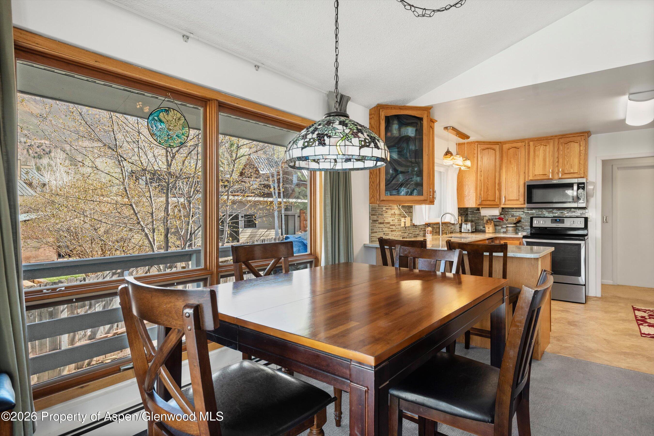 53 Spruce Street, Unit S 1 AND 2 Aspen, CO 81611 - Photo 9 of 67 08-08-534SpruceSt_250429008