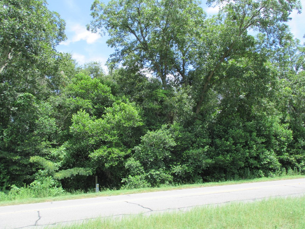 6535 Dinkins Mill Road Rembert, SC 29128 - Photo 2 of 4