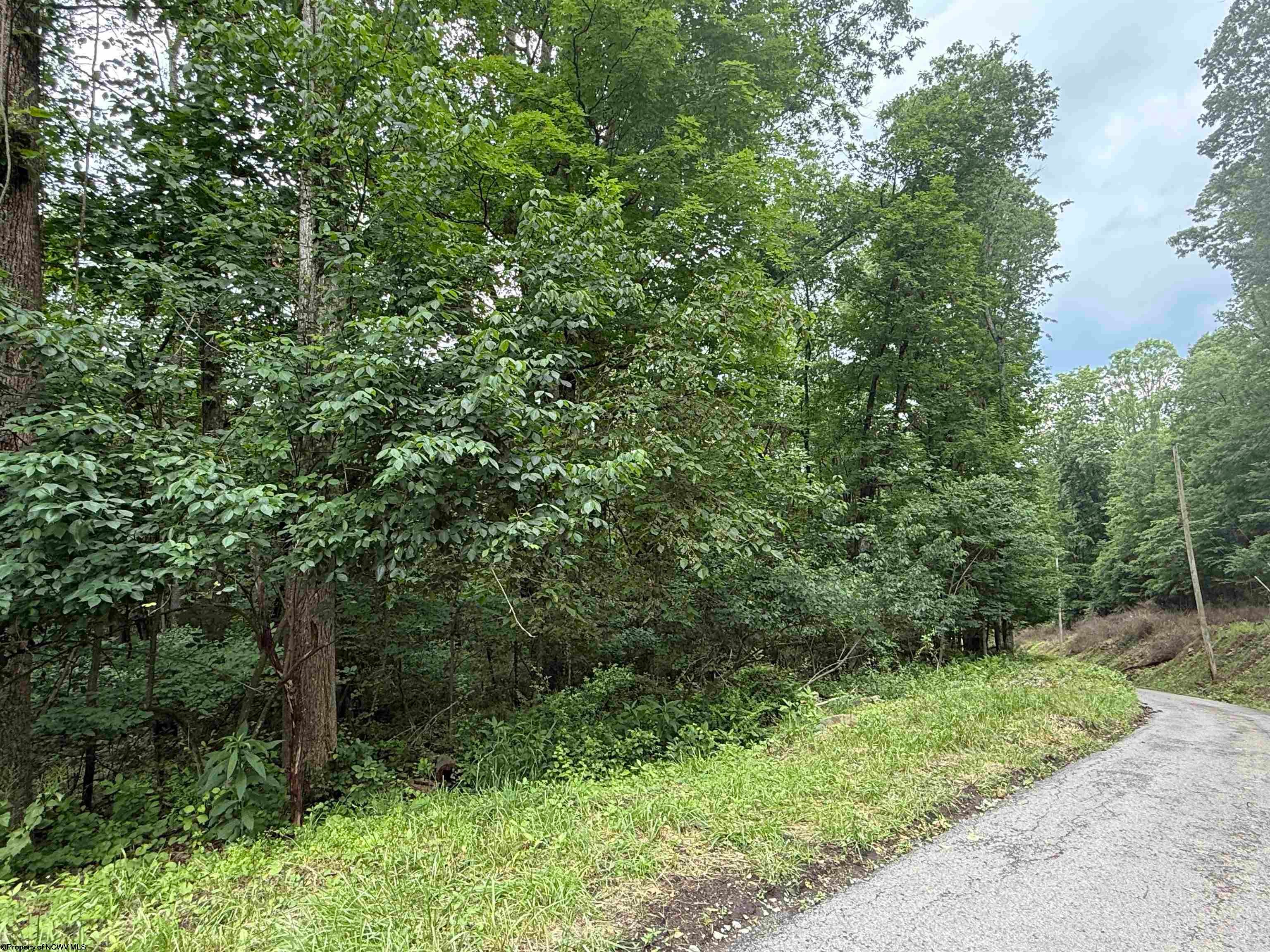Lot 3 Rochelle Mannington, WV 26582 - Photo 2 of 4 Gallery Image 2
