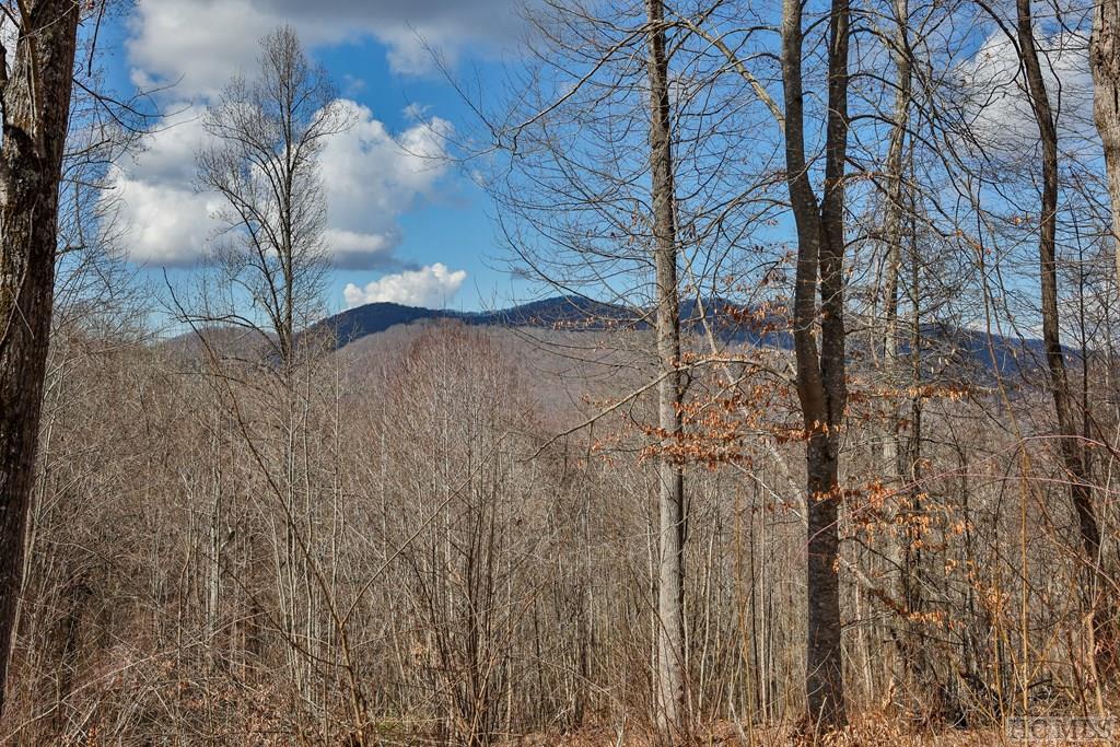 Lot 67 Pilot Knob Road Tuckasegee, NC 28783 - Photo 9 of 32 Gallery Image 9