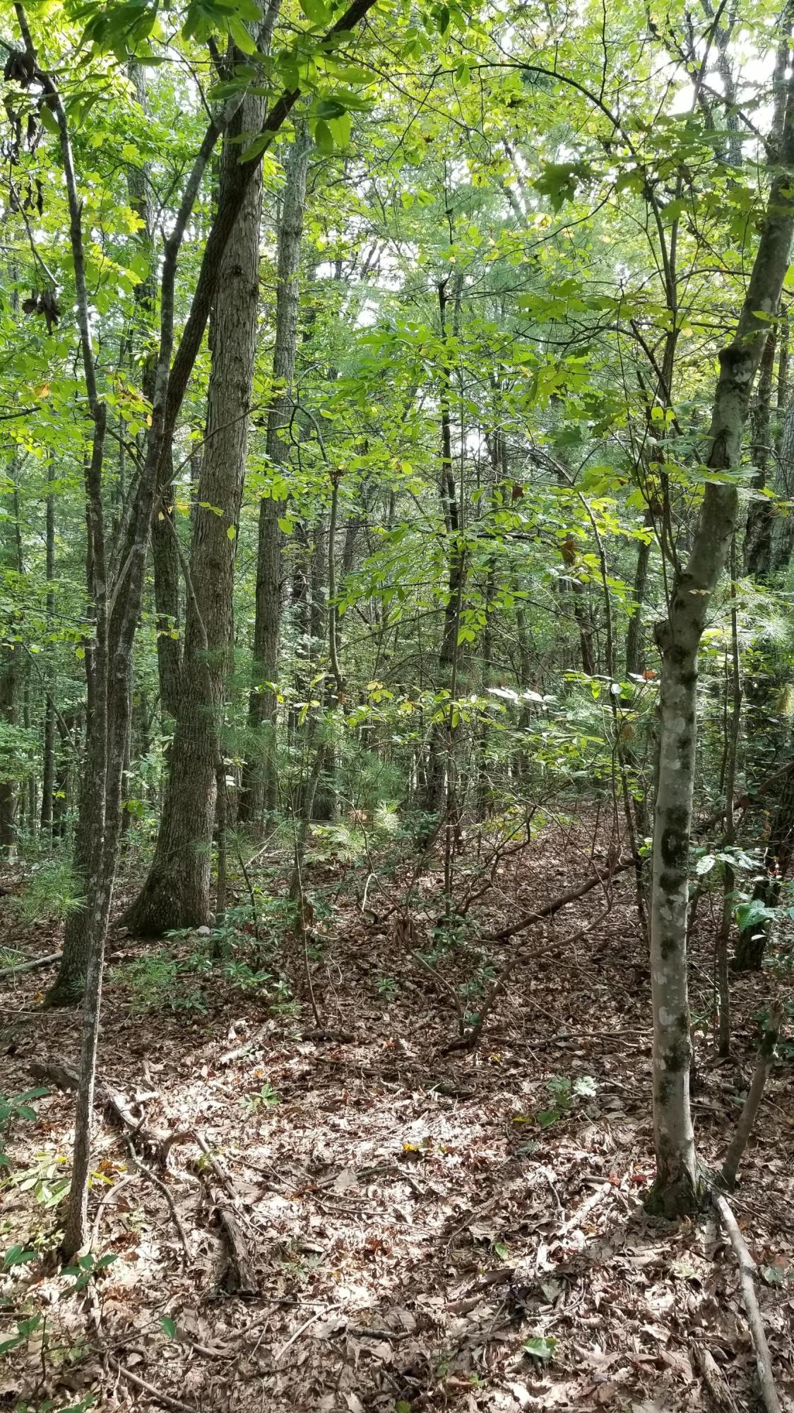 0 Falcon Ridge Road Rocky Mount, VA 24151 - Photo 14 of 19 14