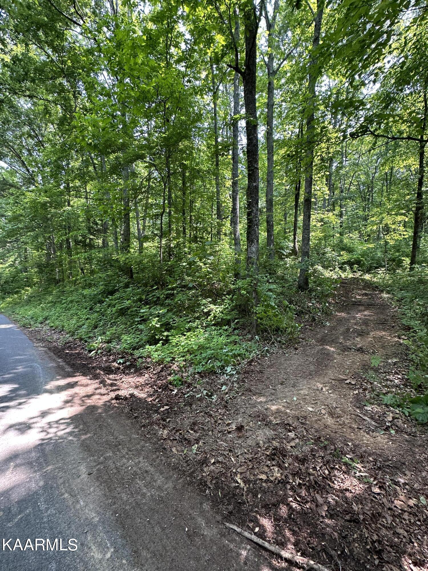 Tbd Oak Grove Road Harrogate, TN 37752 - Photo 1 of 9 92D66C1B-83D5-419E-B727-8AFB9AFAA9AF