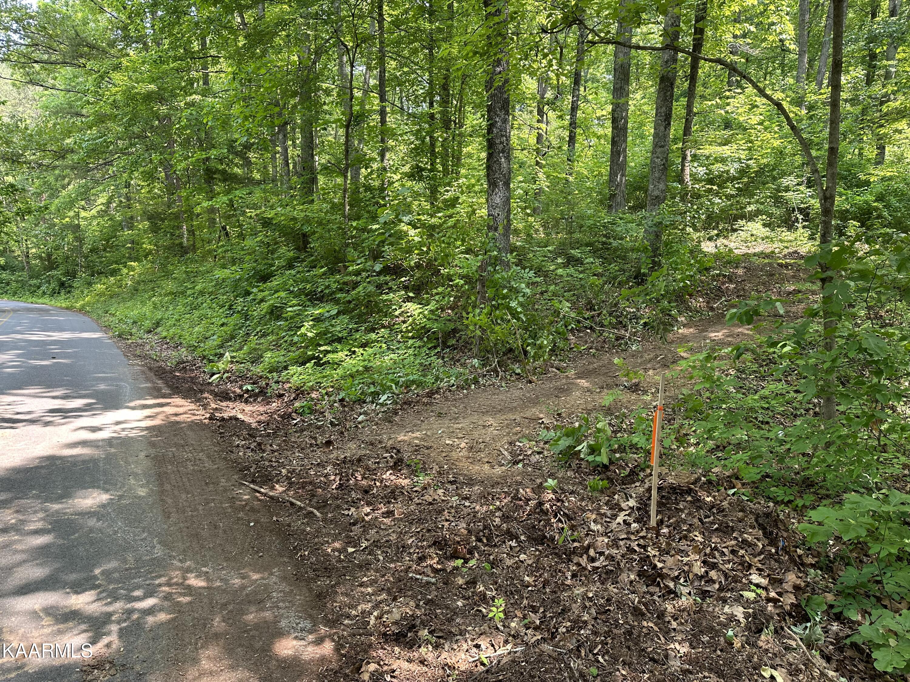 Tbd Oak Grove Road Harrogate, TN 37752 - Photo 8 of 9 87FA4DA3-A8AB-4B29-8C11-D050A67E58F5