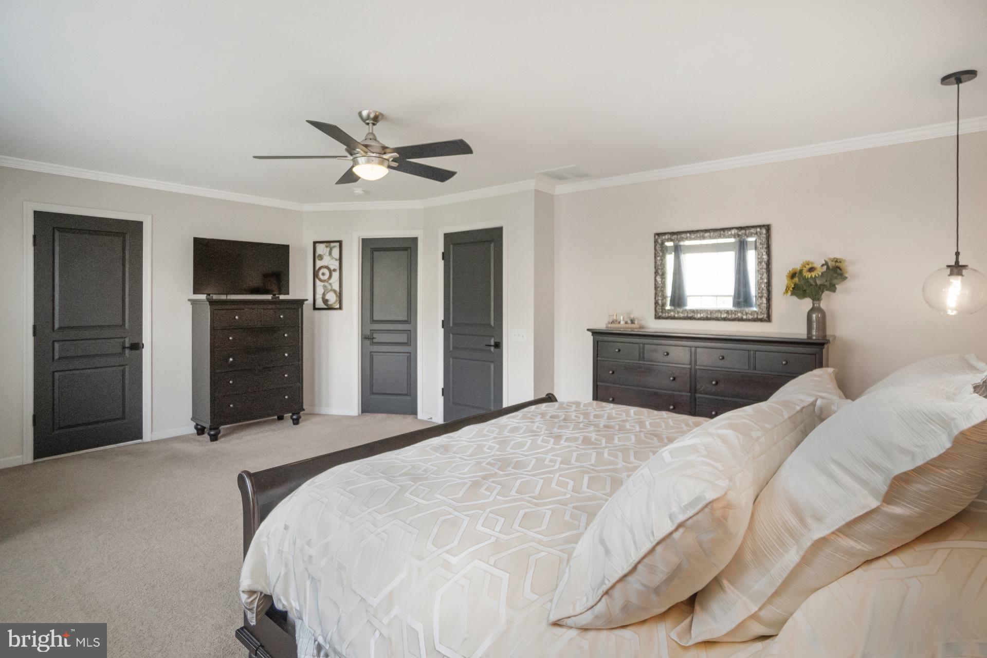 8688 Cascade Road Breinigsville, PA 18031 - Photo 23 of 61 Spacious Master bedroom