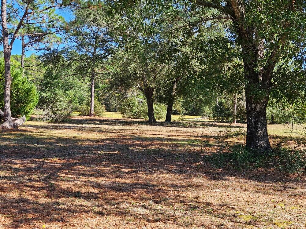 4017 Bear Creek Road Crestview, FL 32539 - Photo 25 of 28 a view of pool with trees