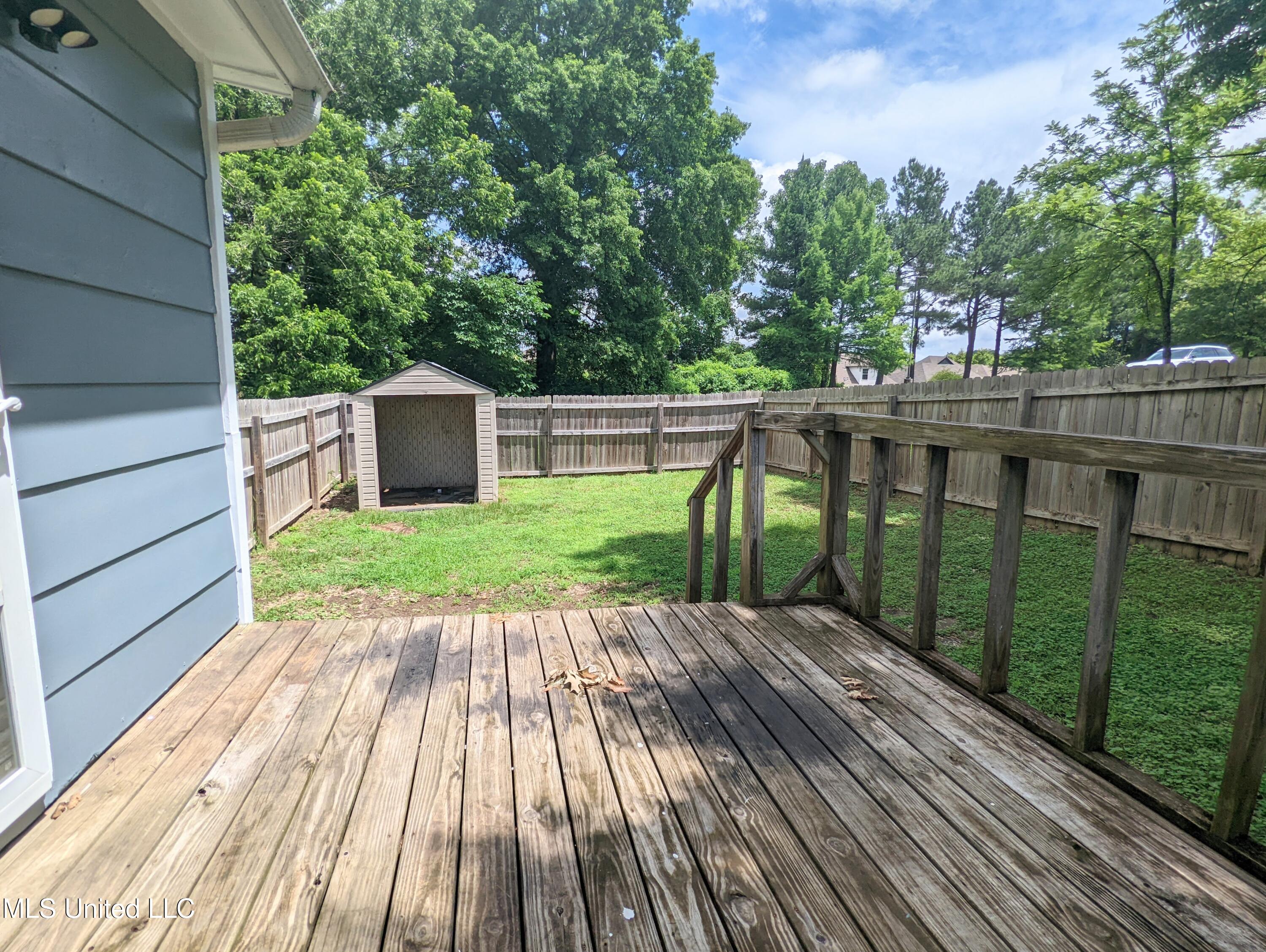 9816 Goodman Road Olive Branch, MS 38654 - Photo 14 of 15 PXL_20250613_164431822