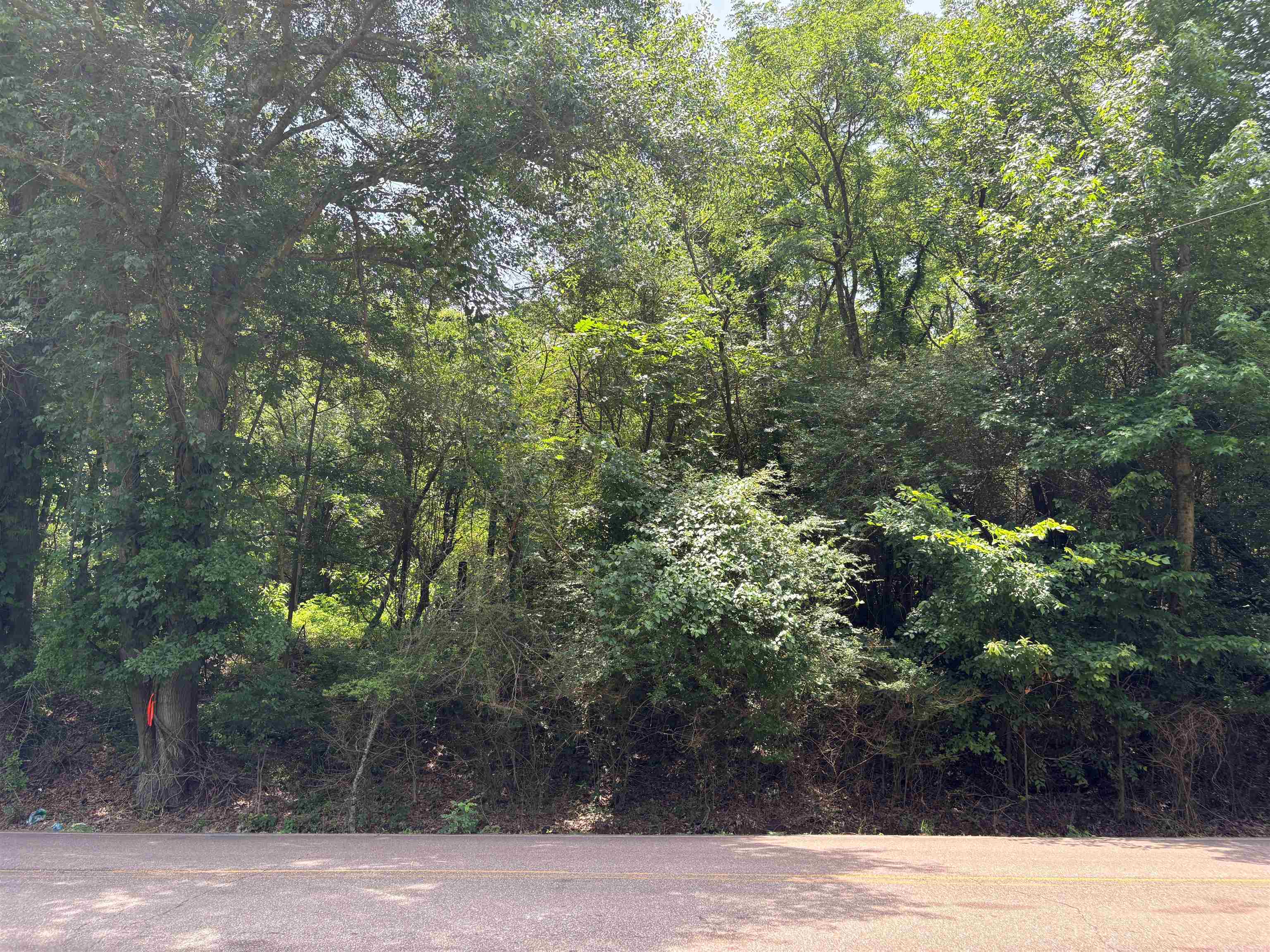 10477 Godwin Road Arlington, TN 38002 - Photo 6 of 8