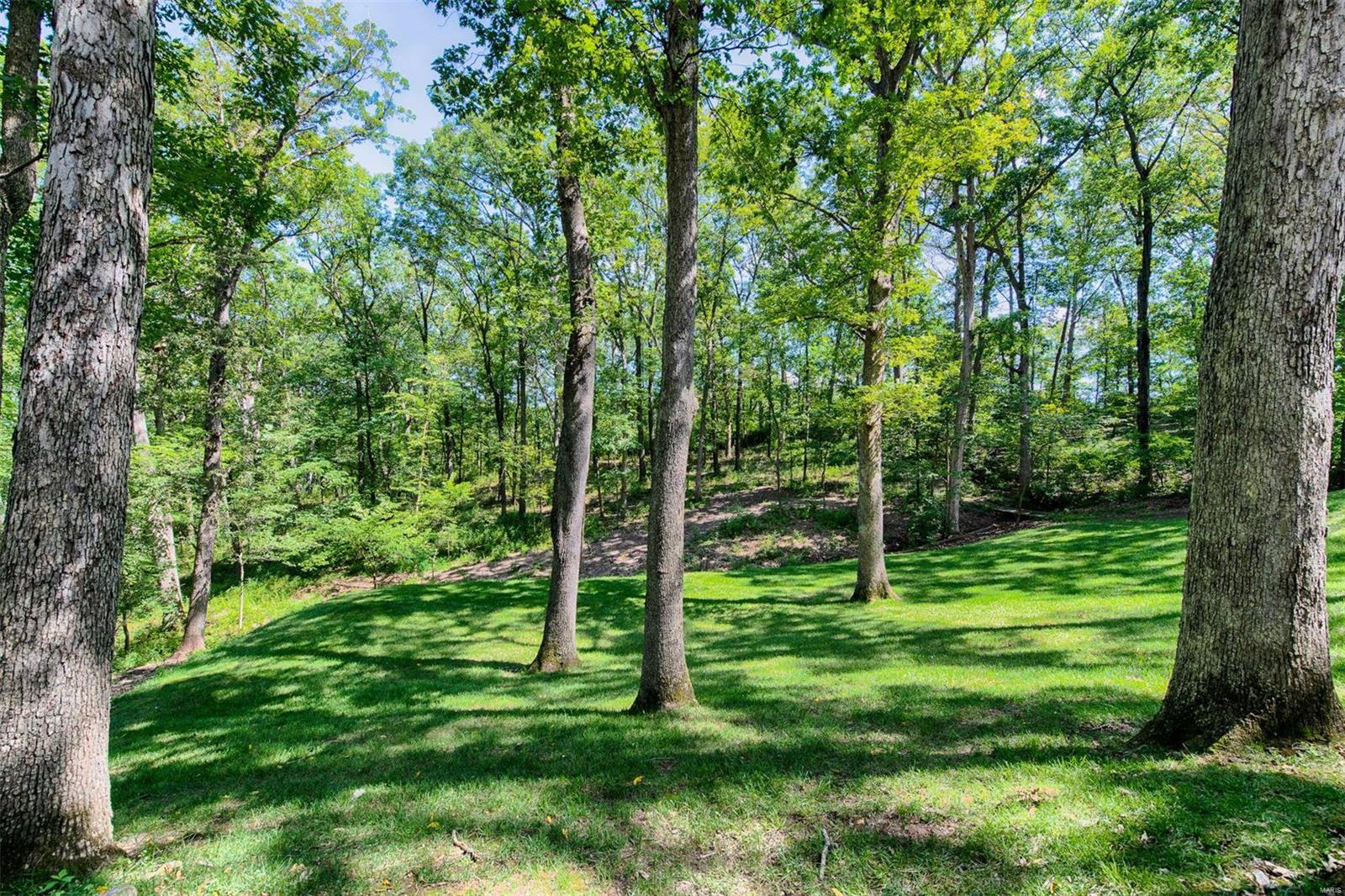 9743 Fall Ridge Trail St. Louis, MO 63127 - Photo 35 of 35 Gallery Image 35