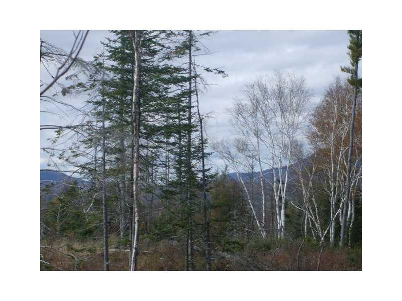 Lot 29 Dallas Hill Road Dallas Plt, ME 04970 - Photo 21 of 25 Birches