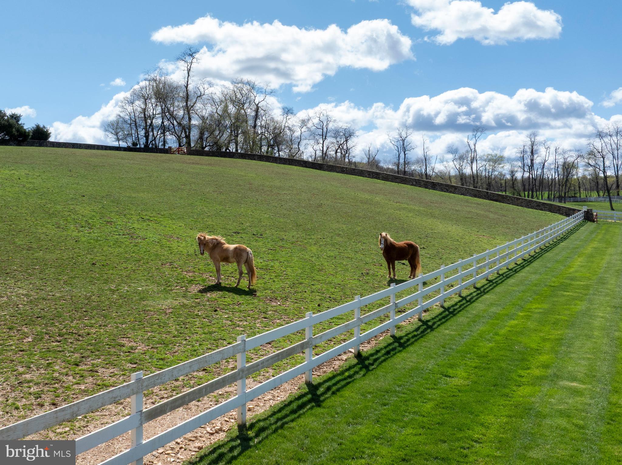 9981 Douglas Road Felton, PA 17322 - Photo 69 of 87 Paddock