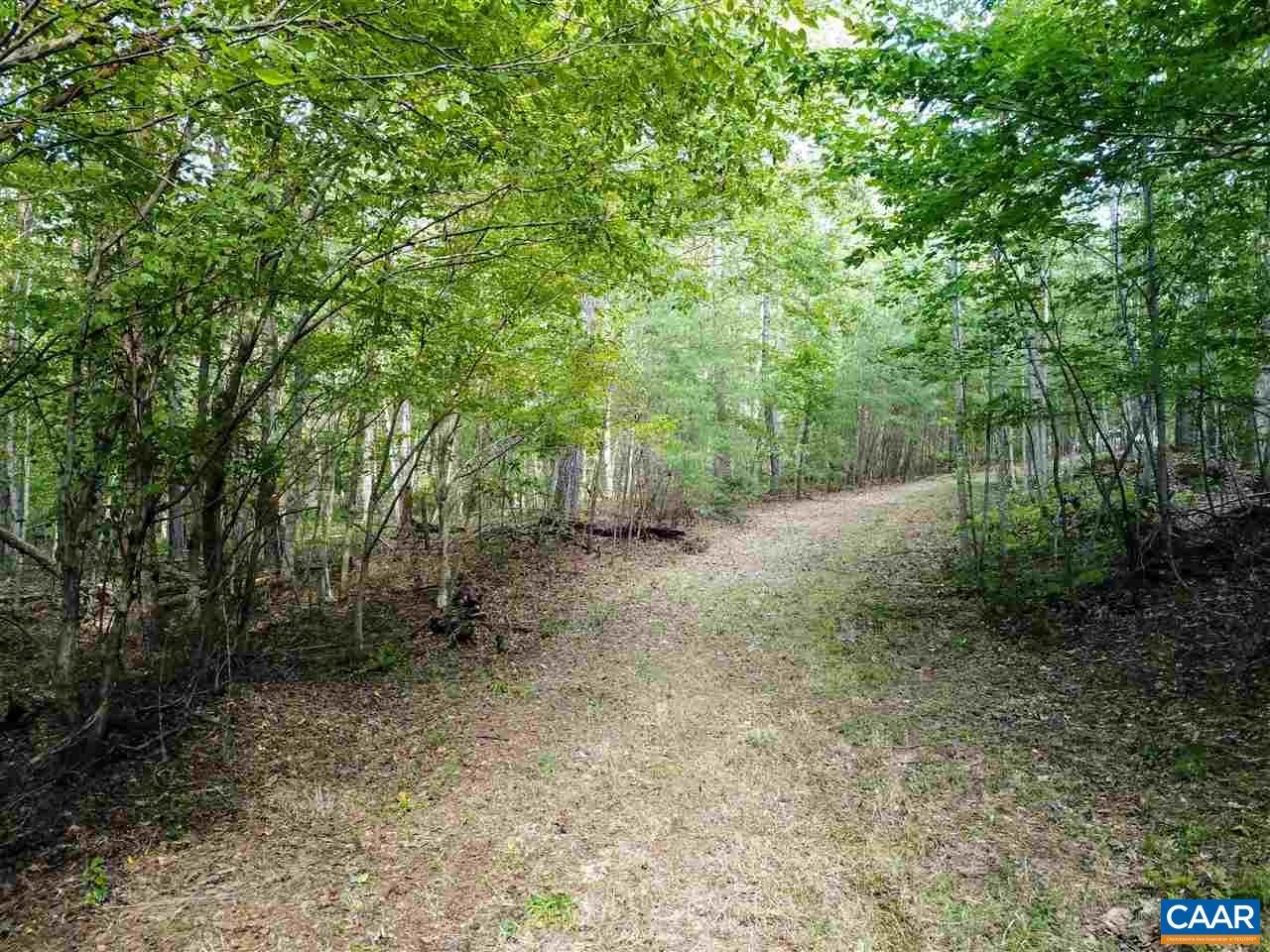 Tba Lot 2 Tba Route South Dillwyn, VA 23936 - Photo 18 of 39 Gallery Image 18