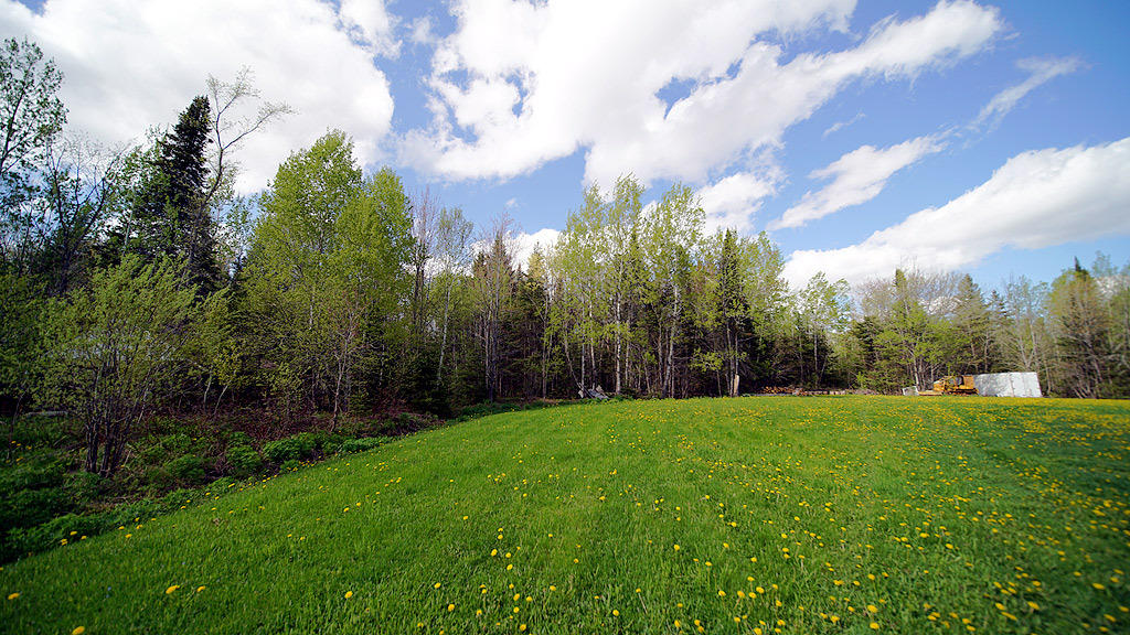 Lot 29-30 County Road New Limerick, ME 04761 - Photo 3 of 16 land-botting-new-limerick-8