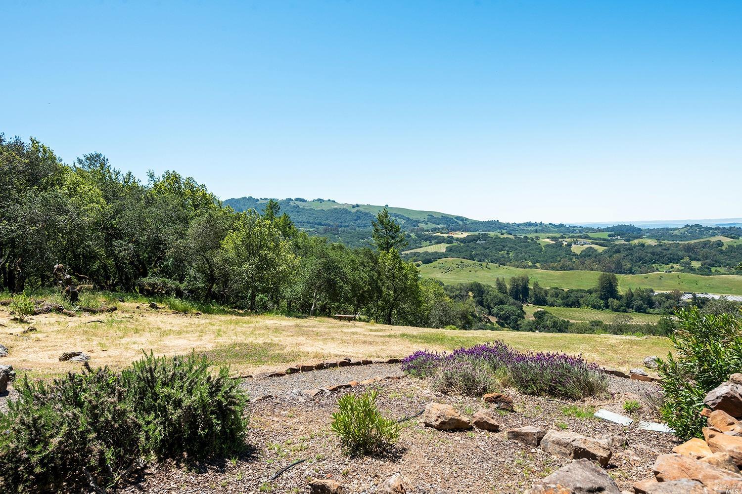 a view of swimming pool with a yard