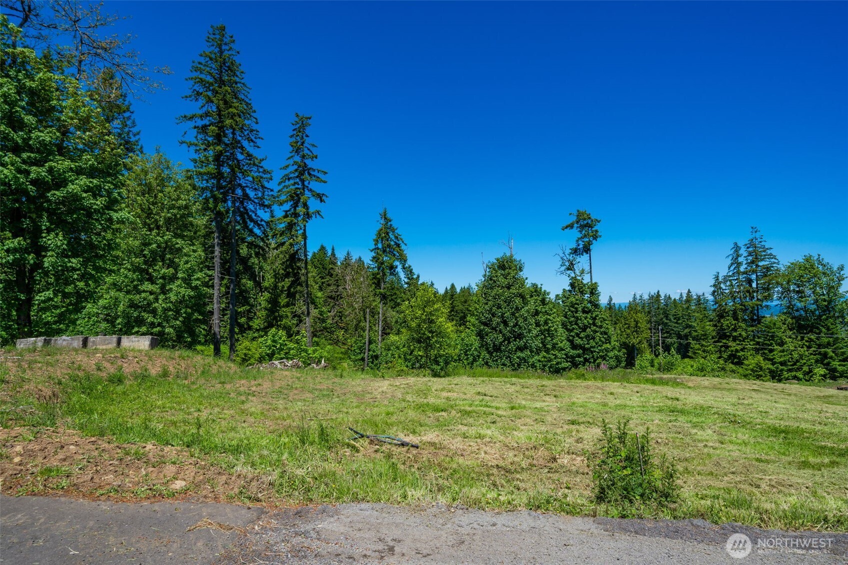 0 South Silver Lake Road Castle Rock, WA 98611 - Photo 6 of 20