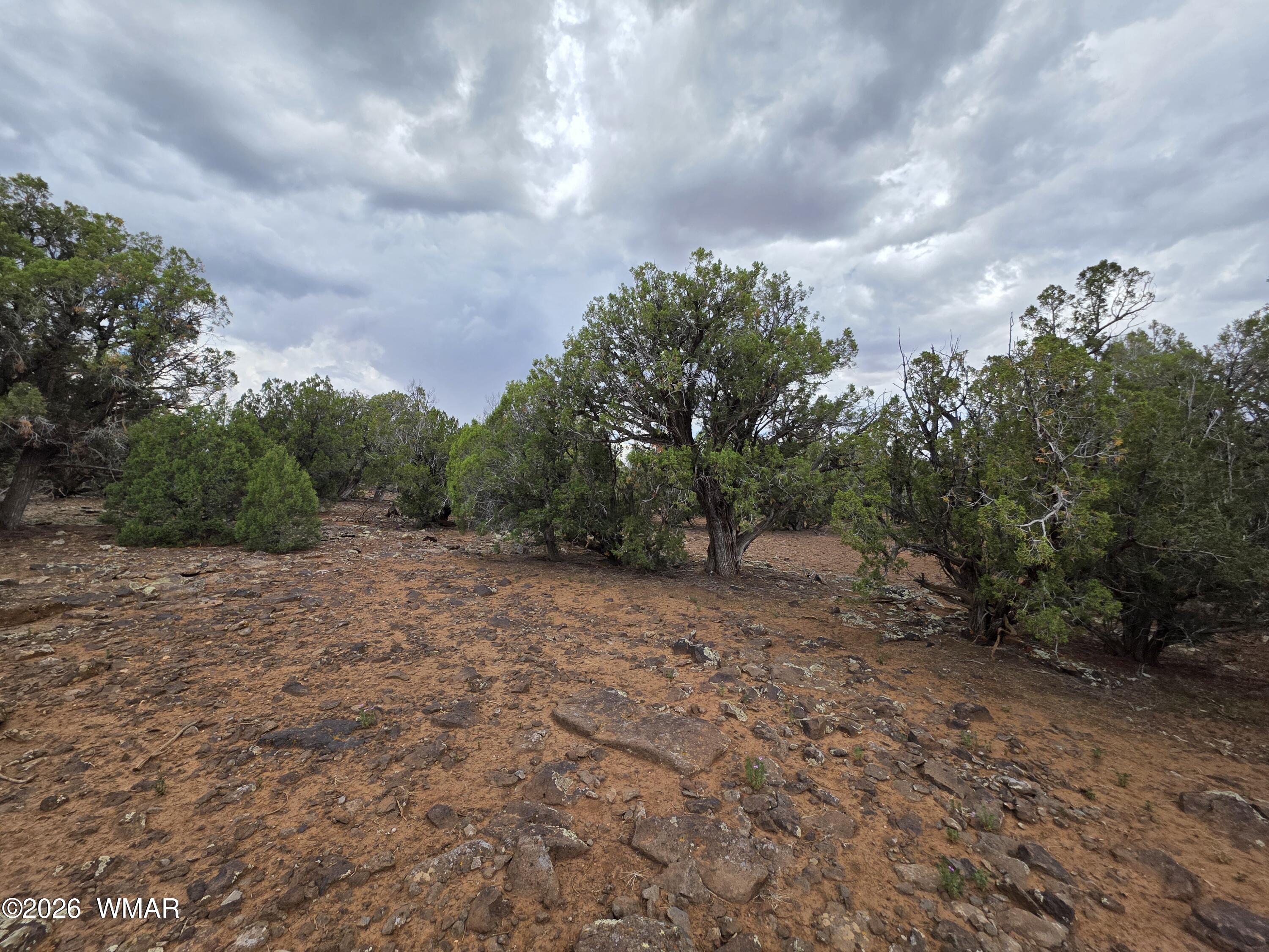 2075 Parker Ranch Road Show Low, AZ 85901 - Photo 11 of 29