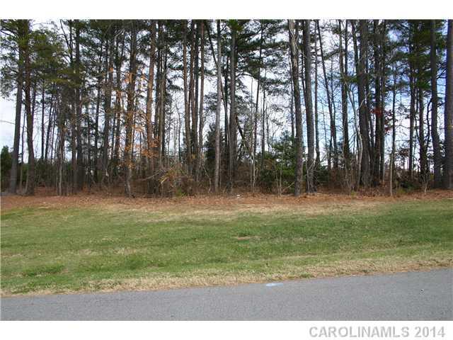 37 Eastwind Cove Road Denver, NC 28037 - Photo 1 of 6 Gallery Image 1