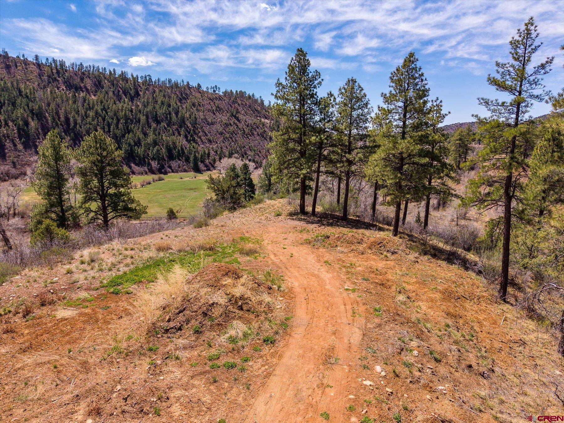 77 Culebra Circle Durango, CO 81301 - Photo 12 of 29 a view of a yard with a tree