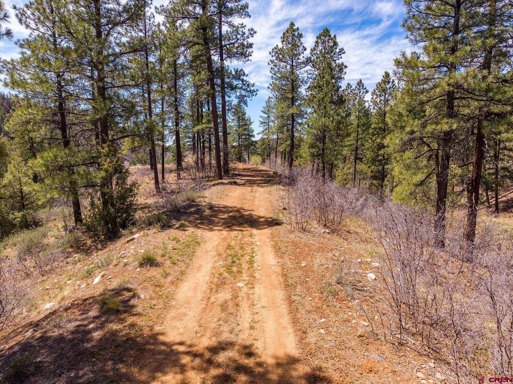 77 Culebra Circle Durango, CO 81301 - Photo 26 of 29
