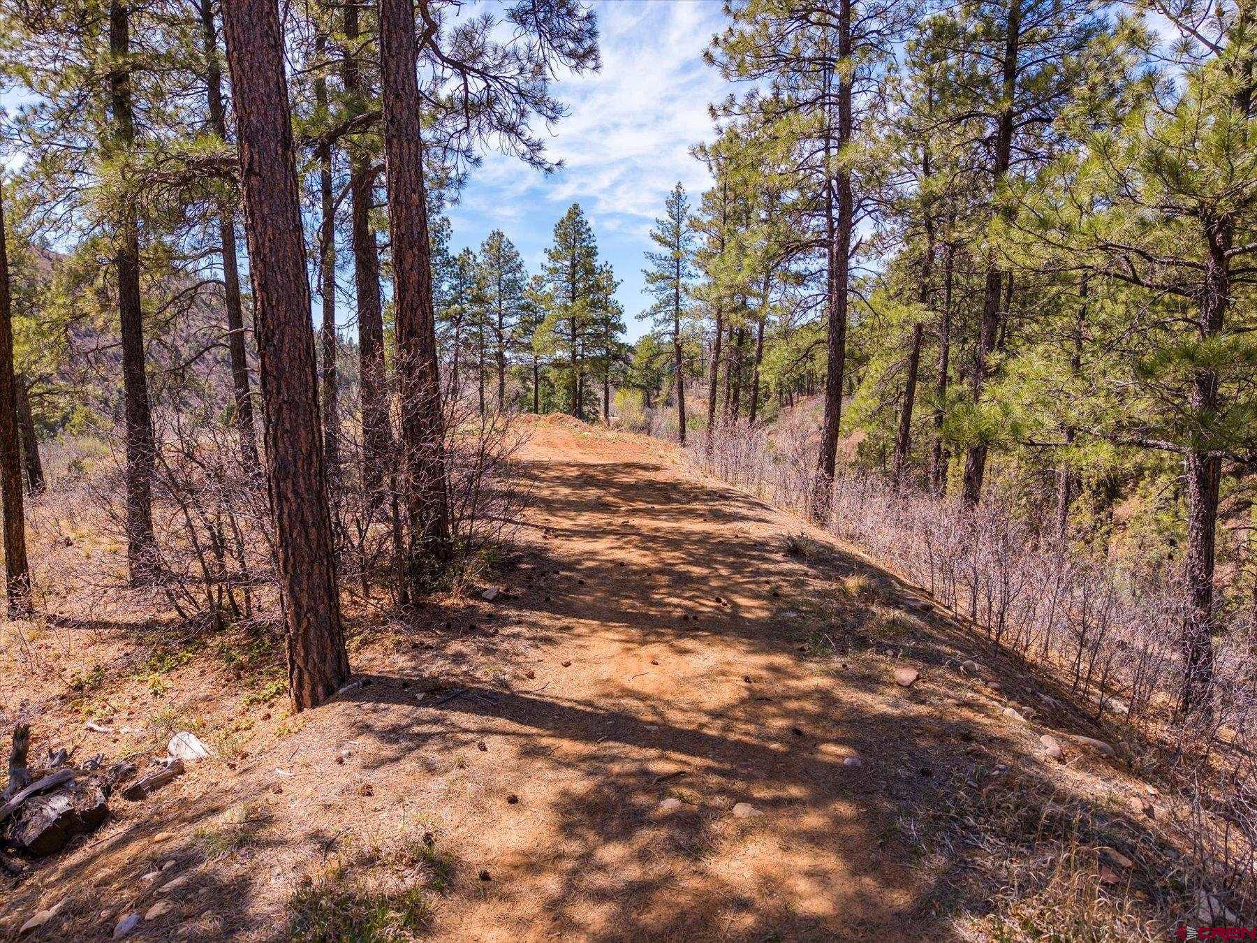 77 Culebra Circle Durango, CO 81301 - Photo 28 of 29