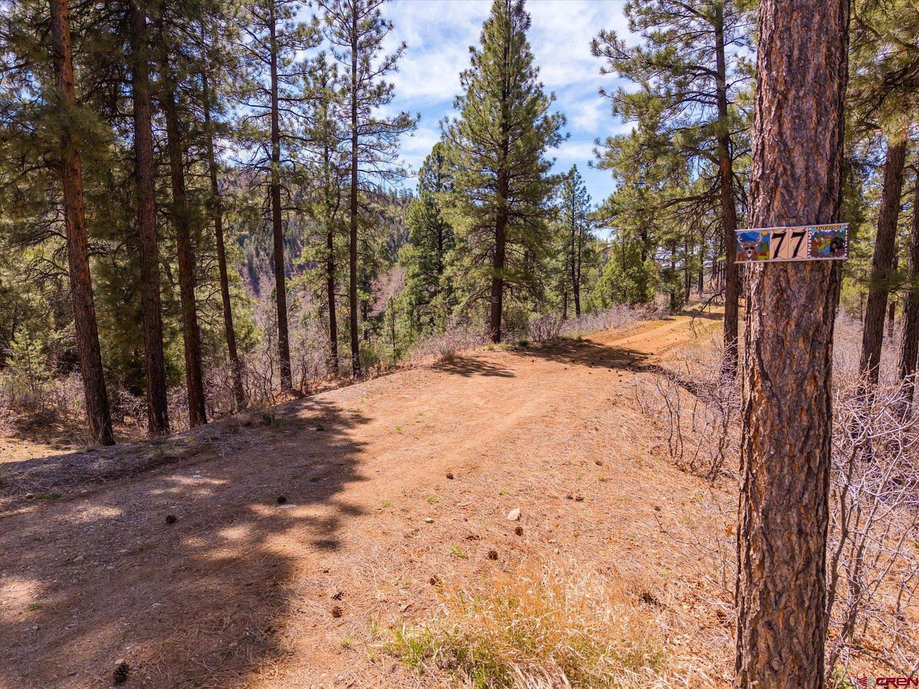 77 Culebra Circle Durango, CO 81301 - Photo 29 of 29