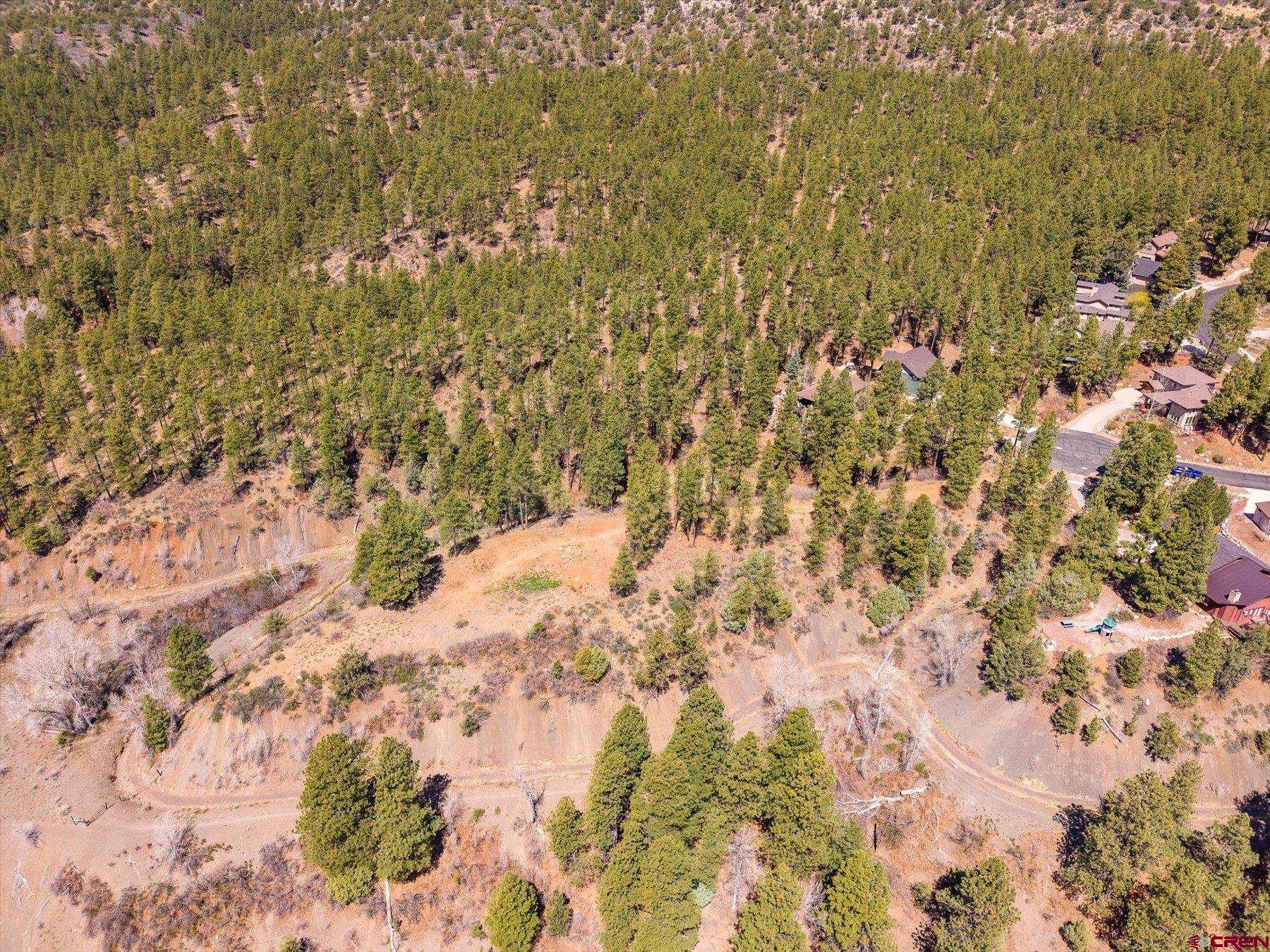 77 Culebra Circle Durango, CO 81301 - Photo 4 of 29 a view of a yard