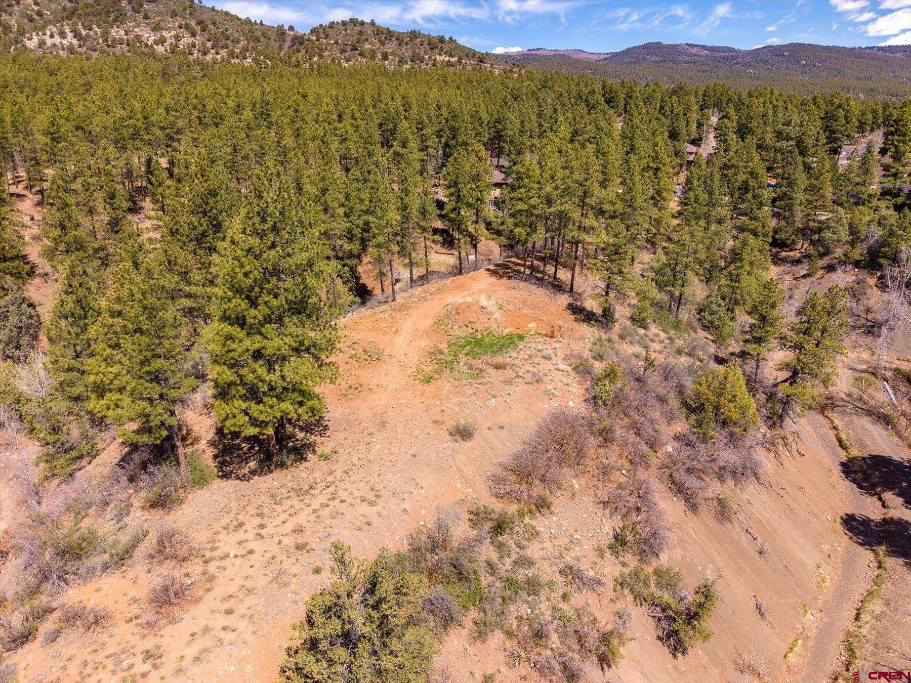 77 Culebra Circle Durango, CO 81301 - Photo 6 of 29 a view of a field with a tree in the background