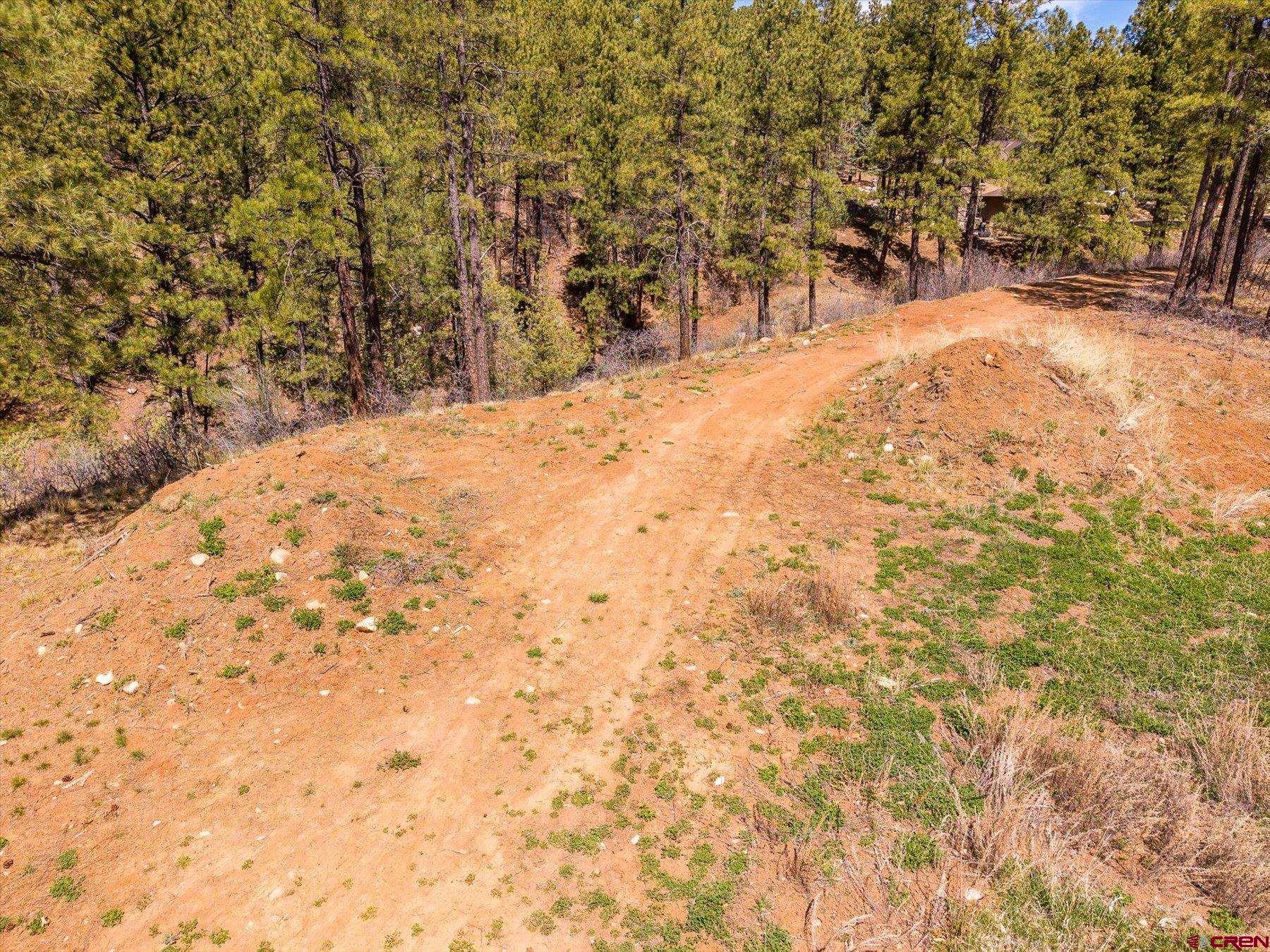 77 Culebra Circle Durango, CO 81301 - Photo 8 of 29 a view of a yard with a tree
