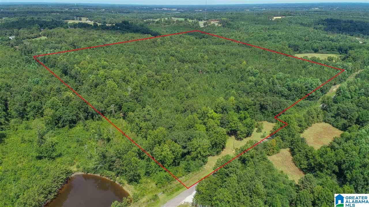 3582 County Road 69, Unit 1 Clanton, AL 35045 - Photo 1 of 8