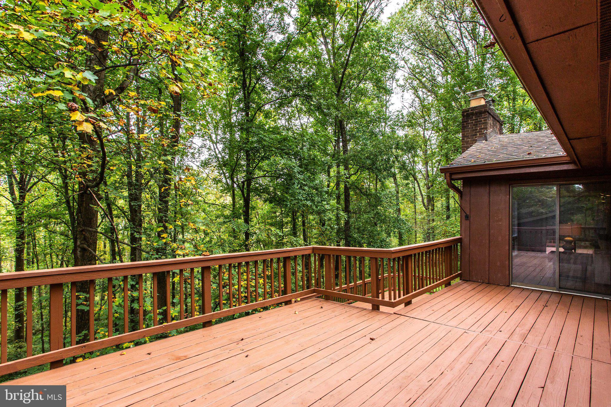 1052 Bellview Road McLean, VA 22102 - Photo 11 of 58