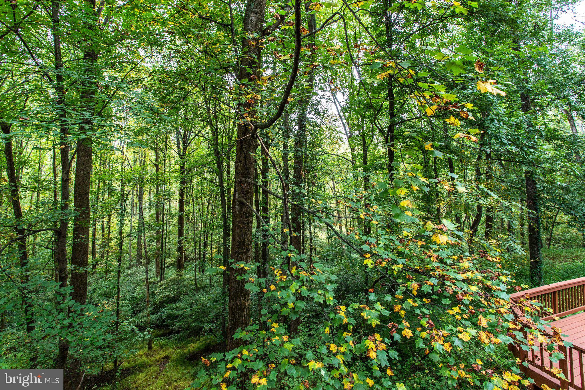 1052 Bellview Road McLean, VA 22102 - Photo 43 of 58