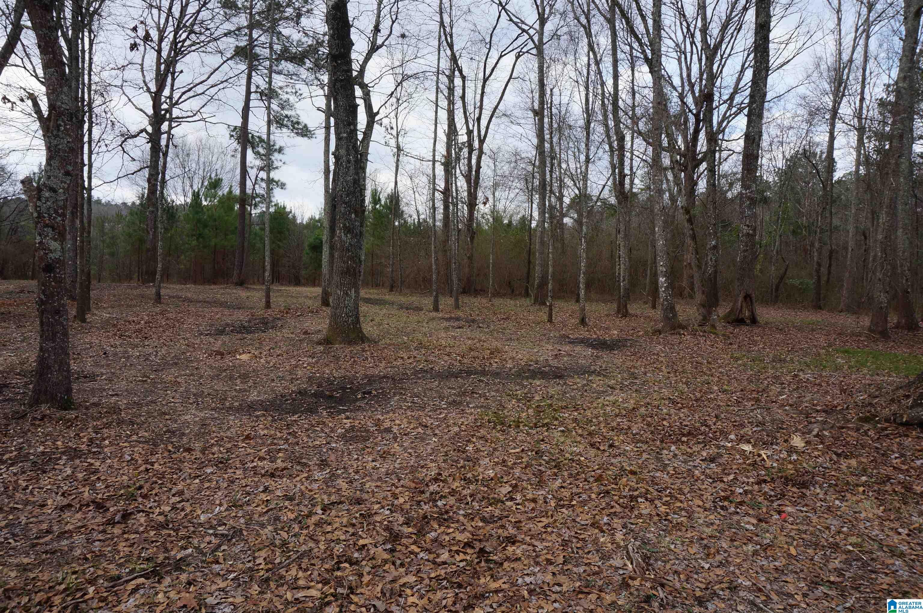 280 Heasletts Road Childersburg, AL 35044 - Photo 32 of 32