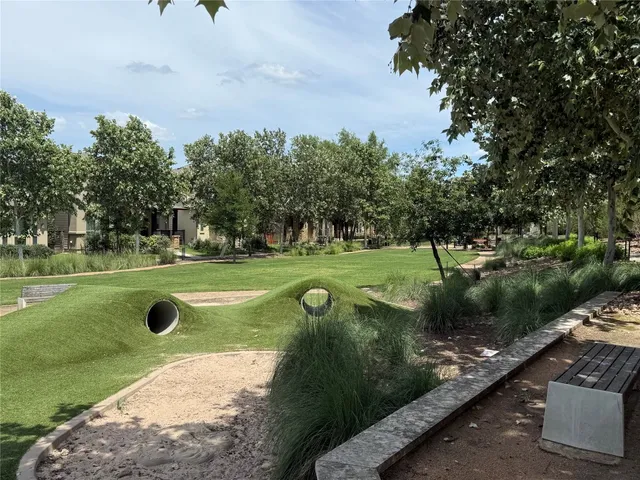 a view of a garden with plants