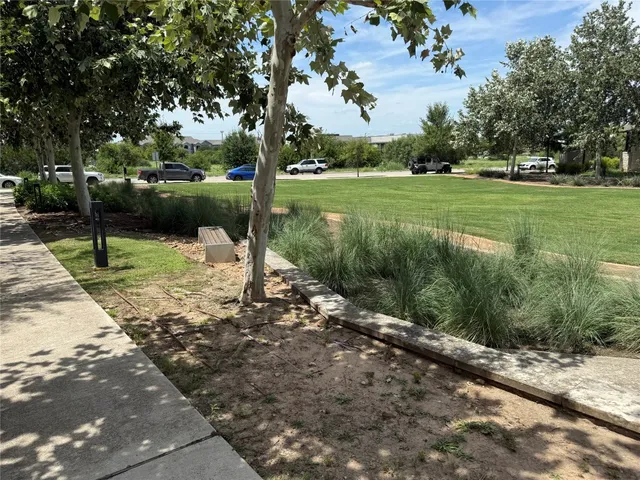a view of a park with large trees