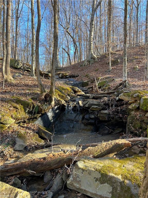 523 Purcell Road Reidsville, NC 27320 - Photo 39 of 50 Stream