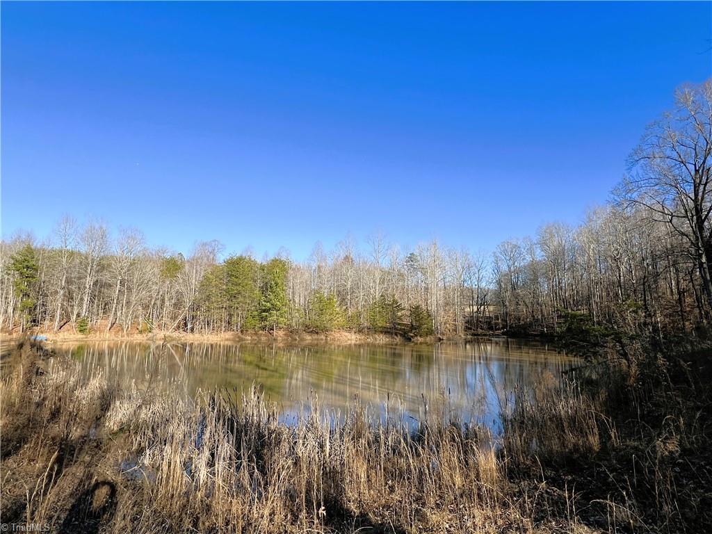523 Purcell Road Reidsville, NC 27320 - Photo 47 of 50 Pond