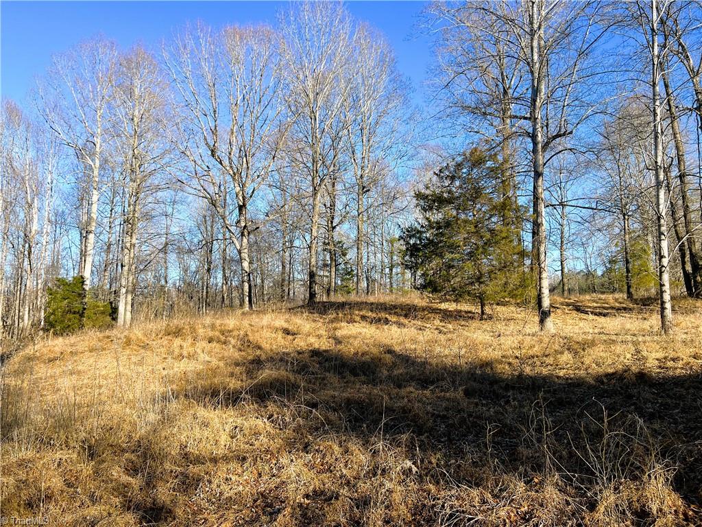 523 Purcell Road Reidsville, NC 27320 - Photo 49 of 50 Natural land
