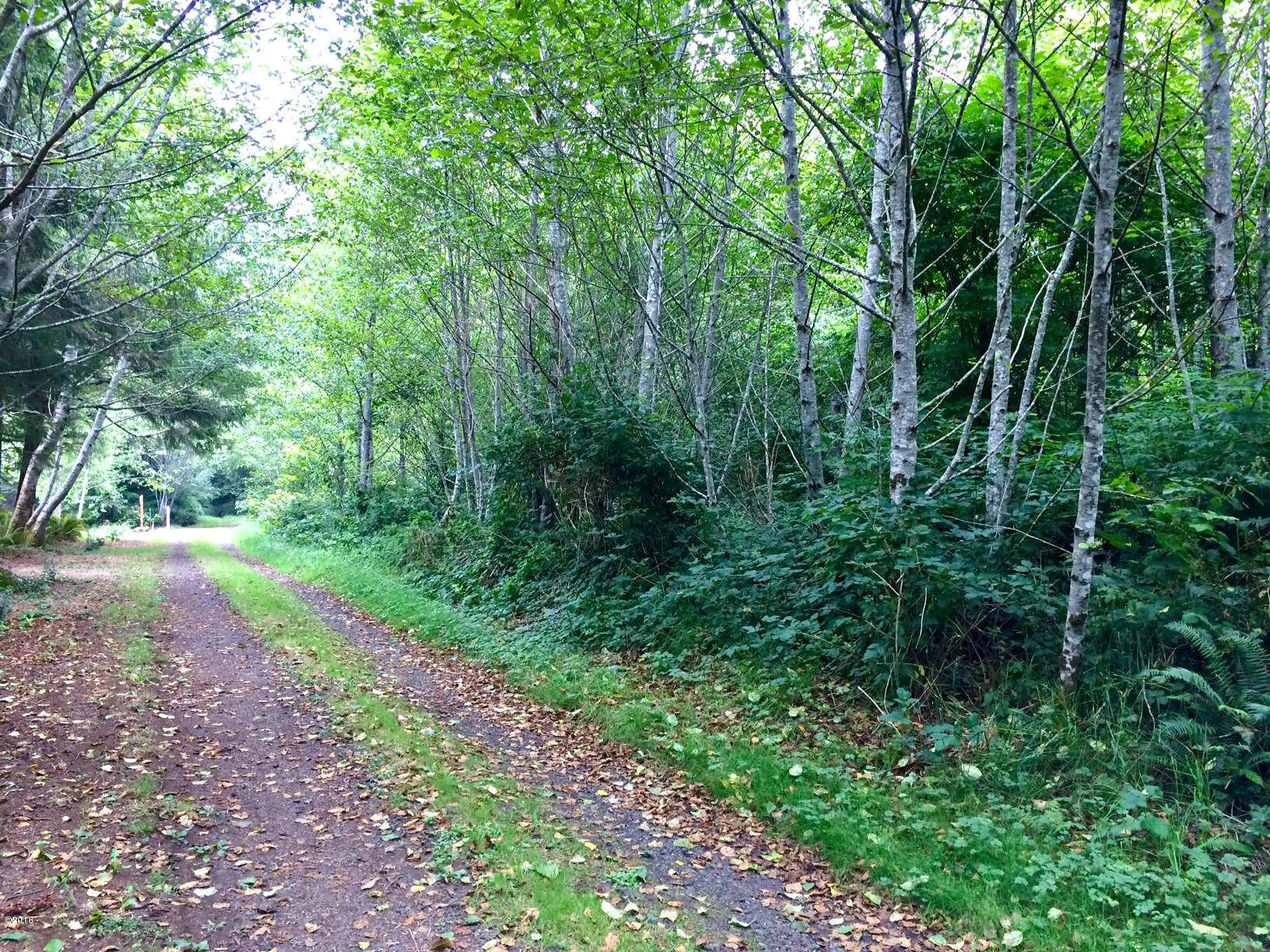 Lot 303, Westerly border