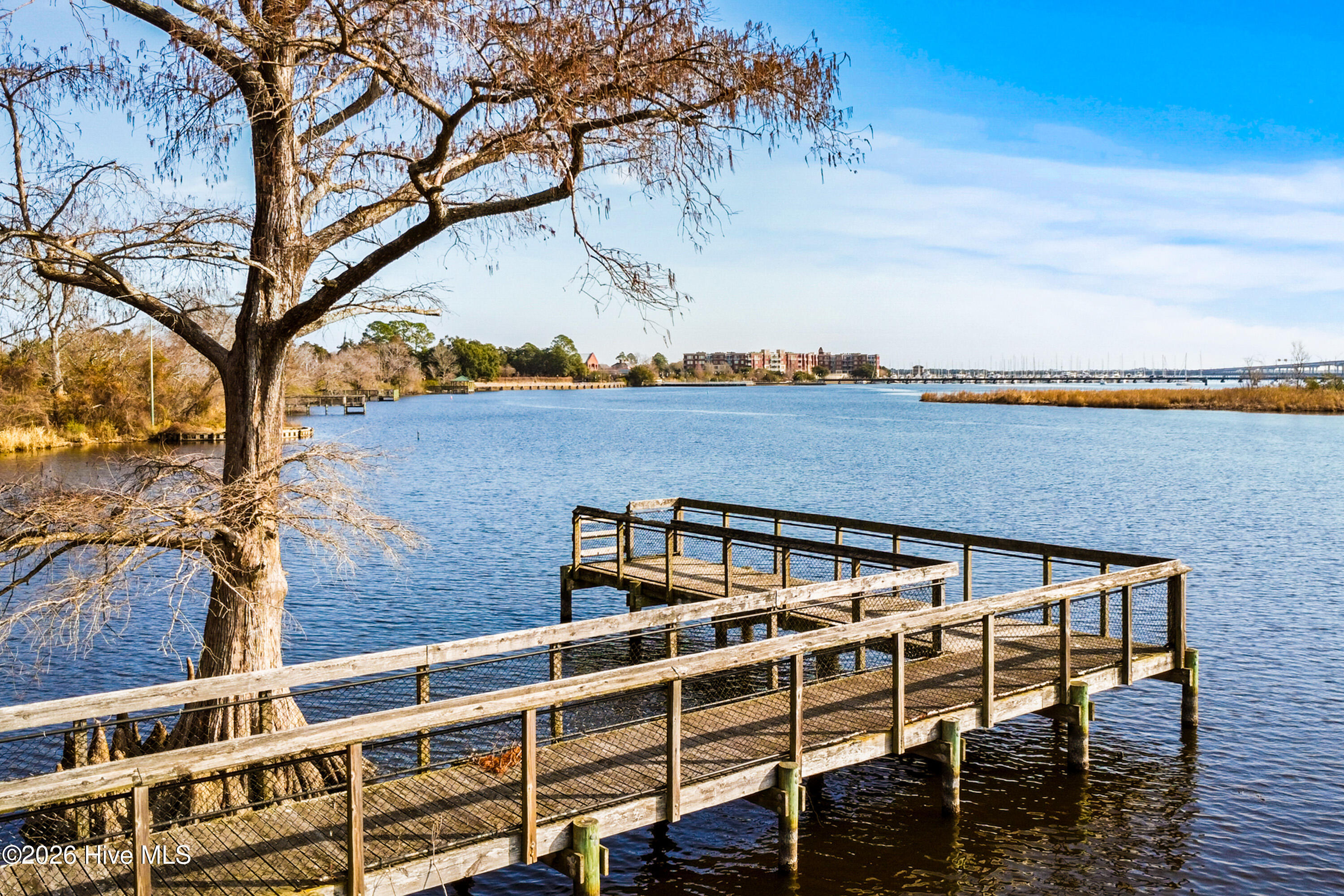 219 Jones Street New Bern, NC 28562 - Photo 6 of 11 New Bern