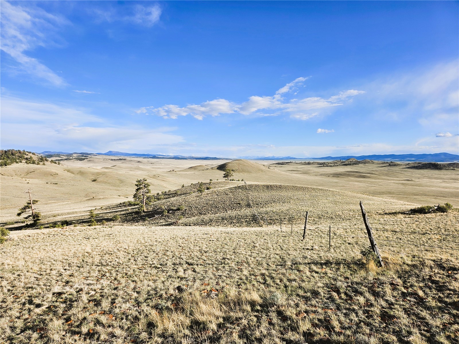 Pcs#24142 Antero Road Hartsel, CO 80449 - Photo 25 of 50