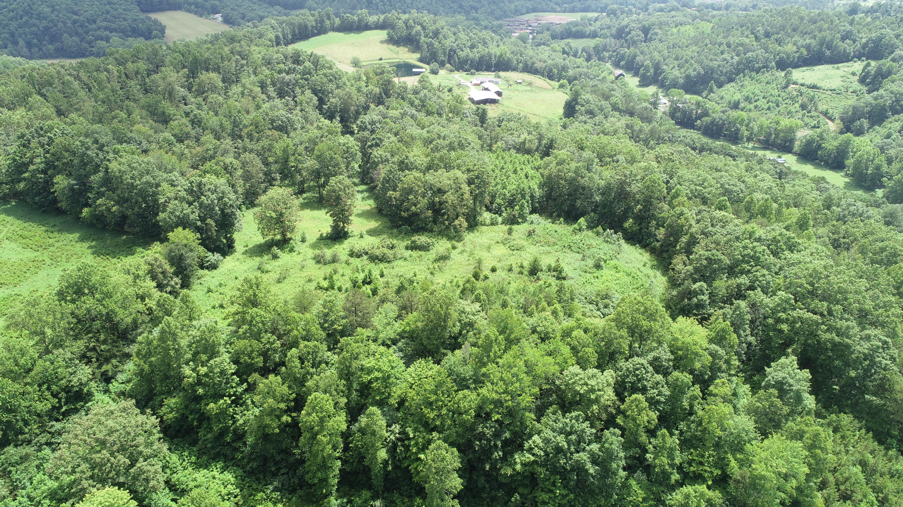 800 Pond Lick Road Annville, KY 40402 - Photo 38 of 46 DJI_0789