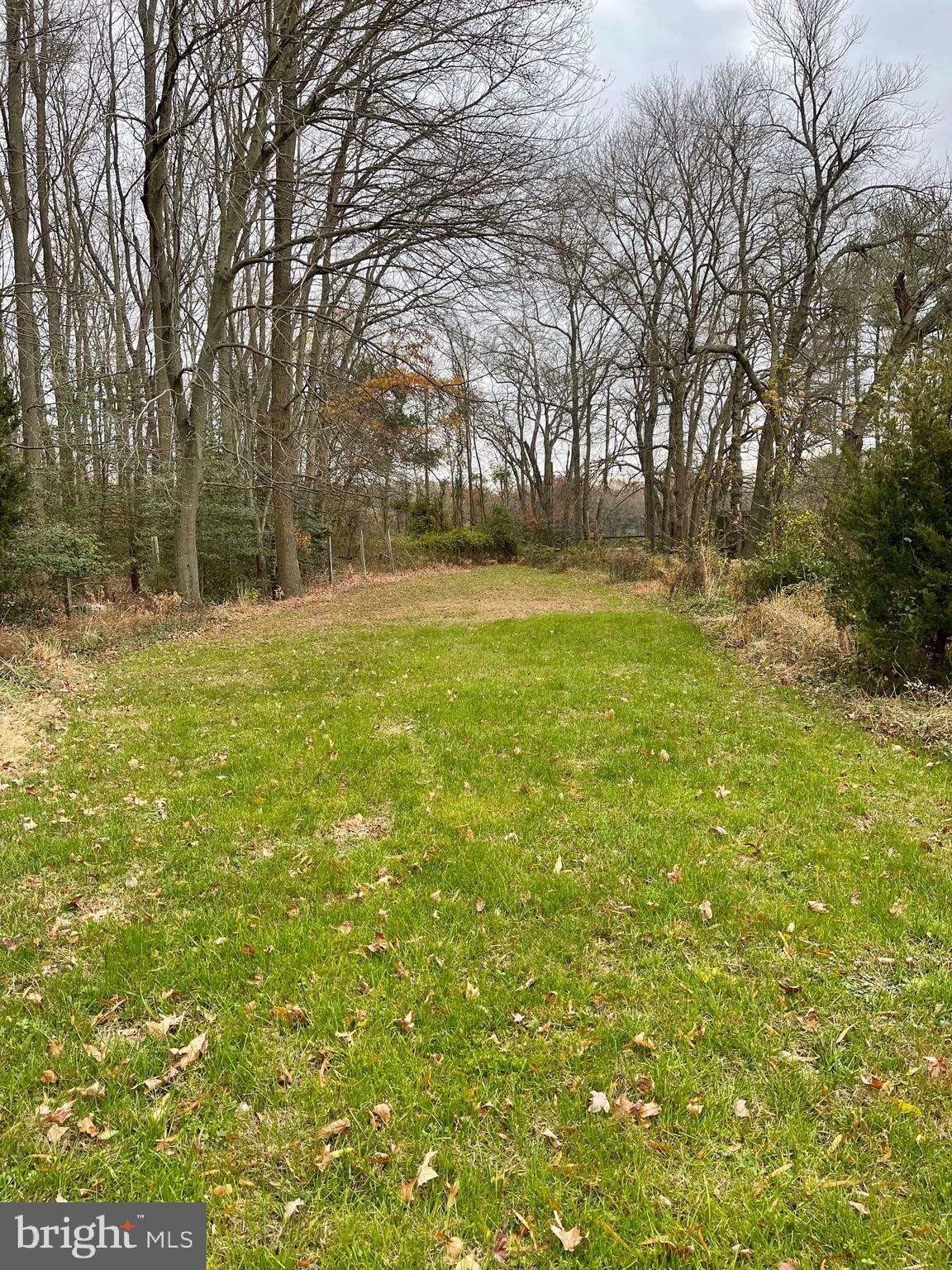 101 Dutch Row Road Elmer, NJ 08318 - Photo 19 of 27