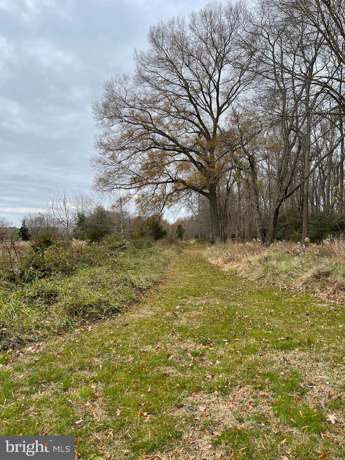101 Dutch Row Road Elmer, NJ 08318 - Photo 20 of 27