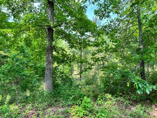 3 Clay Loop Savannah, TN 38372 - Photo 2 of 6 Gallery Image 2