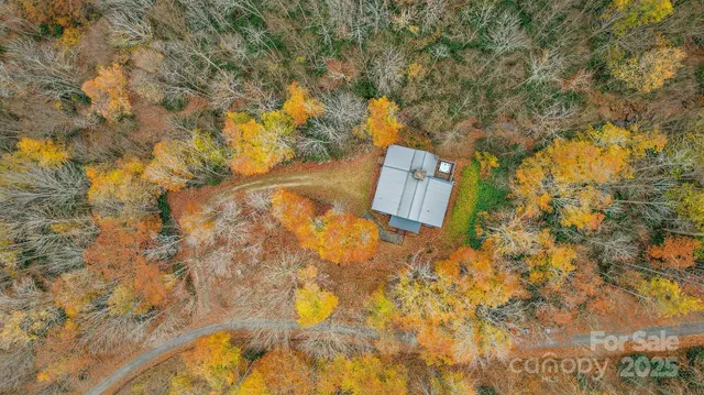 a view of a tree with a yard